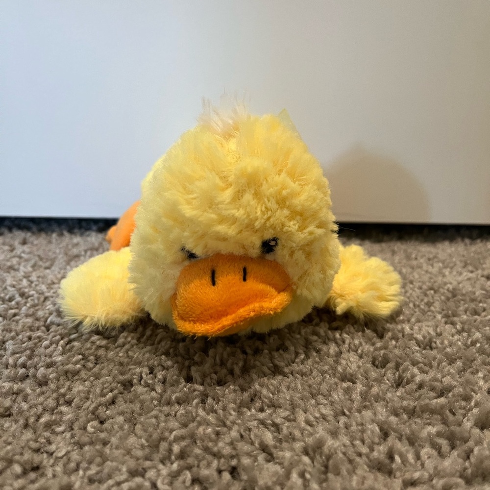 Duck plushie!!!